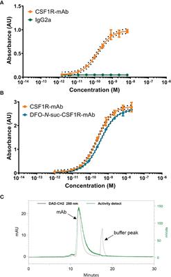 Radiolabeled Monoclonal Antibody Against Colony-Stimulating Factor 1 Receptor Specifically Distributes to the Spleen and Liver in Immunocompetent Mice